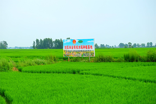 1655261714481052.png 2017010516345896289.png